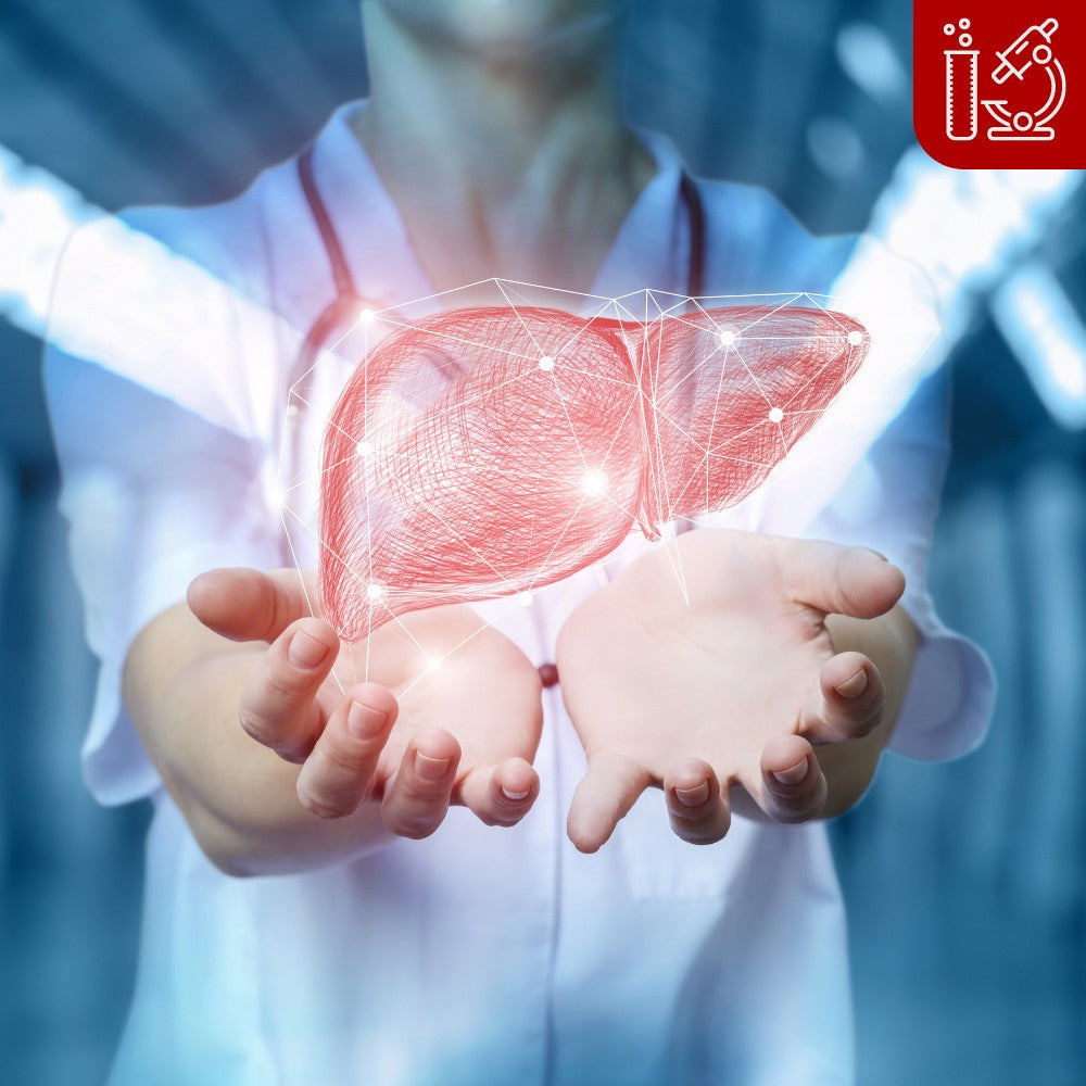 Liver and Kidney Health for Athletes: Why Supporting Your Organs is Essential for Peak Performance