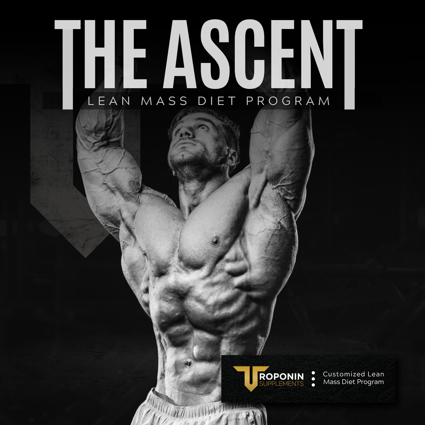 What's the optimal body fat limit to reach in the offseason?